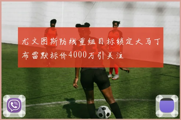 尤文图斯防线重组目标锁定大马丁布雷默标价4000万引关注