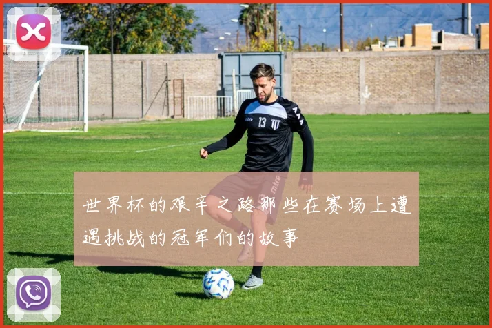 世界杯的艰辛之路那些在赛场上遭遇挑战的冠军们的故事